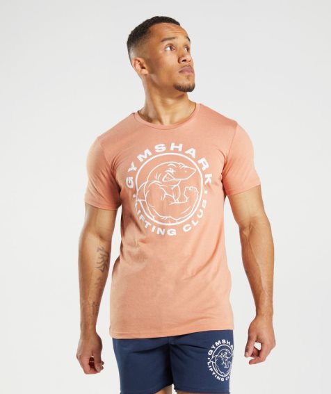 Men's Gymshark Legacy T-Shirts Orange | CA 038561